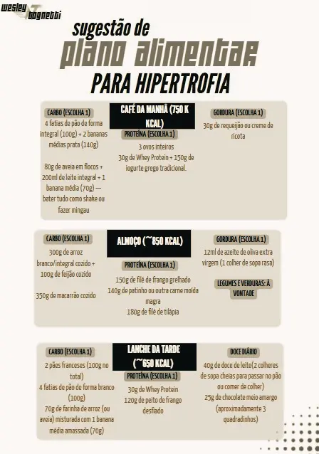 Placeholder do PDF de dieta estruturada